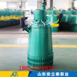荆州市BQS25-10-2.2矿用水泵电话图片