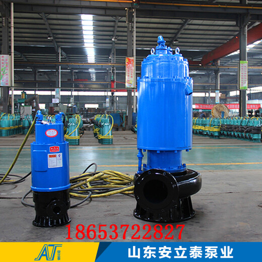 揭阳市WQB25-12-2.2隔爆型潜水排污泵用在加气站