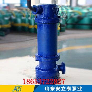 杭州市BQS15-20-1.5BQW防爆潜污泵材质多样化