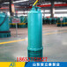 迪庆州WQB30-25-5.5立式防爆泵价格