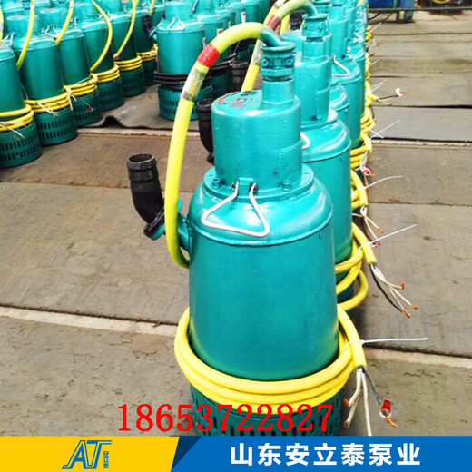 七台河市BQS60-60-22/N潜水泵防爆性能可靠