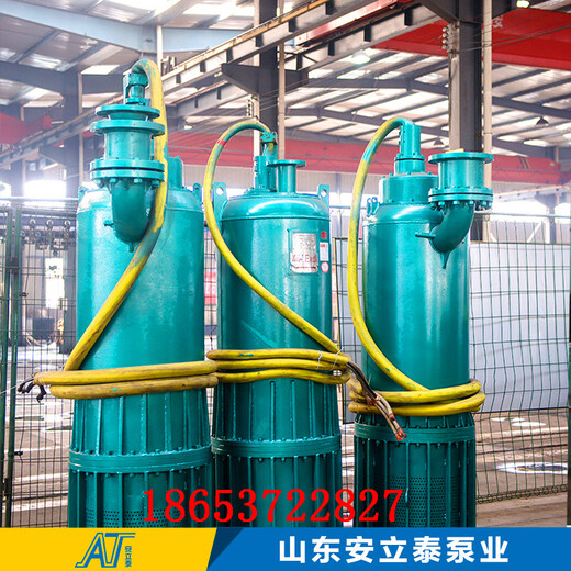 湖北省WQB25-18-3防爆污水泵使用方法介绍