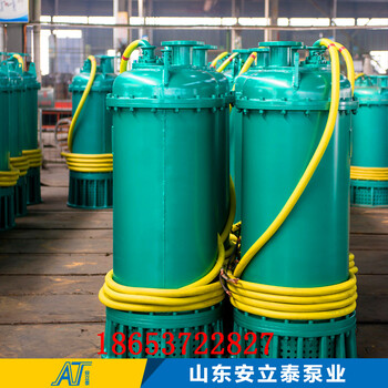 晋中市WQB15-22-2.2不锈钢潜水泵用在加油站