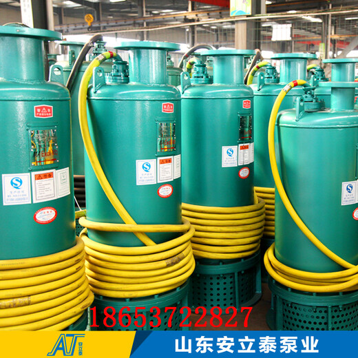 牡丹江市BQS15-22-2.2移动式潜水泵节能环保