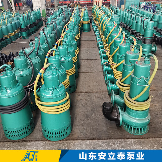 郴州市WQB30-25-5.5WQB防爆潜污泵电机使用寿命长