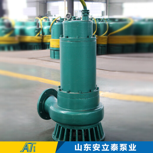 通辽市BQS50-150/2-45/N矿用防爆泵用于市政建设工程