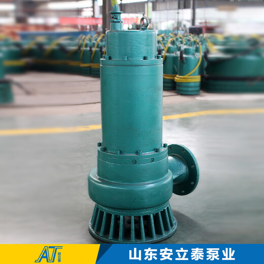 潮州市WQB35-50-15隔爆型潜污泵用于市政建设工程