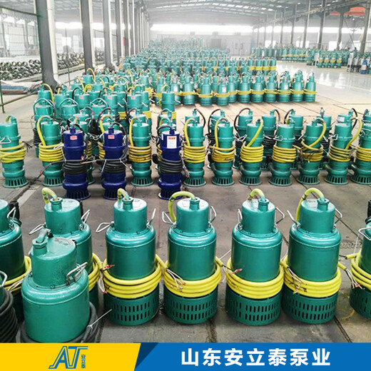 重庆BQS25-10-2.2矿用排污泵售后团队