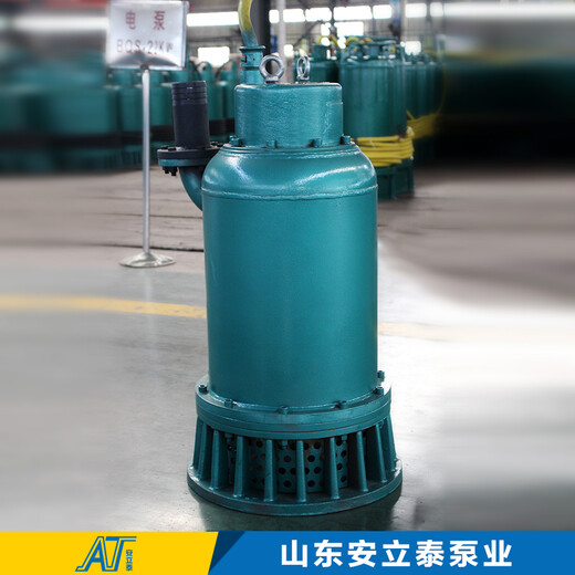绥化市WQB50-50-18.5移动式潜水泵用于市政工程