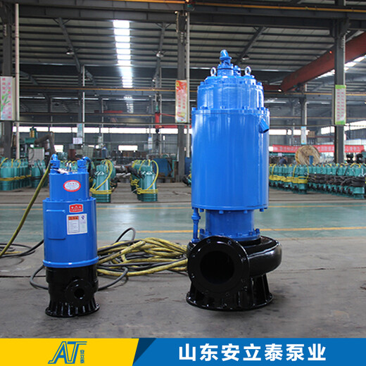 上海BQS100-70-37/NWQB防爆排污泵使用方法介绍