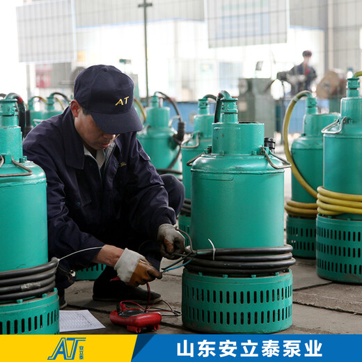 临夏州BQS40-20-5.5/B不锈钢防爆污水泵生产厂家