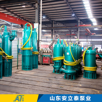 湛江市BQS50-150/2-45/NWQB防爆泵適用管廊工程