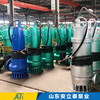德阳市WQB50-50-18.5WQB防爆潜污泵用在加油站