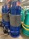 WQB防爆排污泵,哈尔滨WQB防爆潜水泵产品图