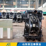 郑州BQG气动隔膜泵,自动型气动隔膜泵图片2
