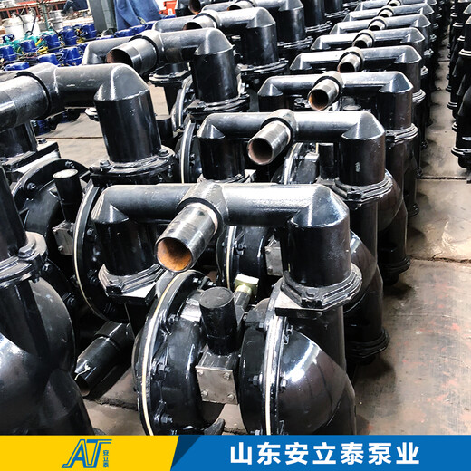 北京BQG气动隔膜泵价格,自动排水隔膜泵