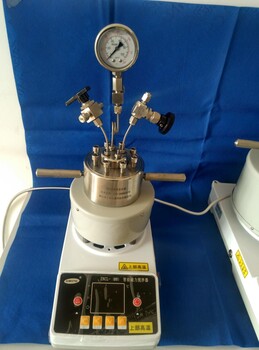 高压不锈钢反应釜/实验室小型仪器