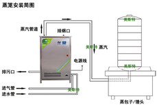 乐陵锅炉厂家不锈钢蒸汽发生器全自动商用小型数控锅炉60kg蒸发量锅炉蒸汽机图片5