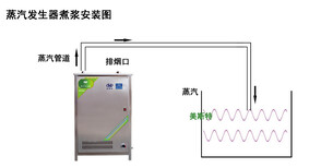 乐陵美斯特锅炉厂家供应全自动燃气锅炉蒸汽锅炉蒸汽机2分钟上蒸汽100kg蒸发量图片2