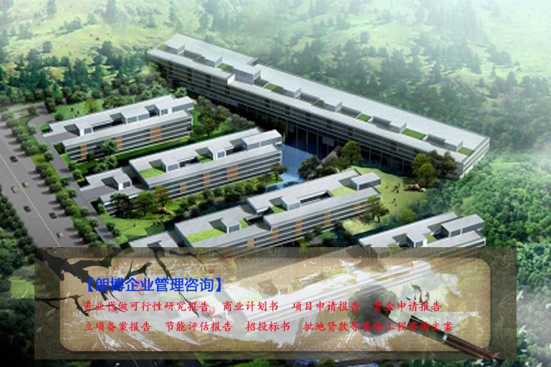 揭东县报价合理可行性研究报告化工厂建设