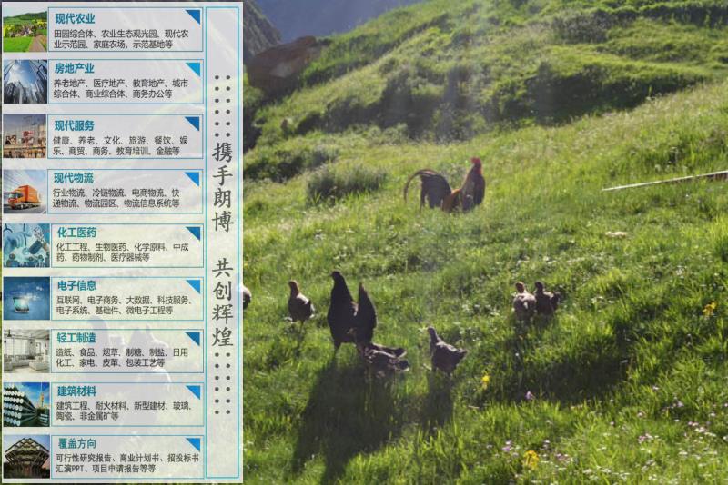 阳谷县代做用心百亩果园种植基地报告计划书