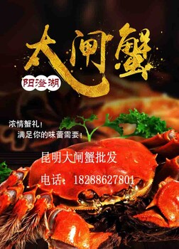 2017昆明阳澄湖大闸蟹水产团购批发