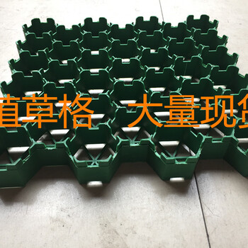 佛山植草格廣東植草格植草格價(jià)格植草格規(guī)格