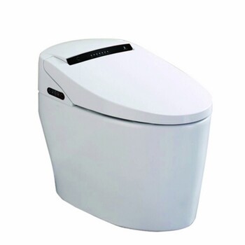 卫浴产品防震的马桶卫浴品牌,行业的迪森•一体智能坐便器