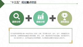 滁州项目可行性研究报告立项入驻工业园图片5