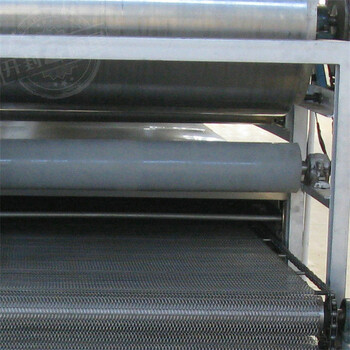 直条式土豆粉皮机原理丽星厂家提供粉条生产线设备