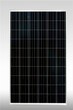 250W多晶太阳能电池板厂家图片