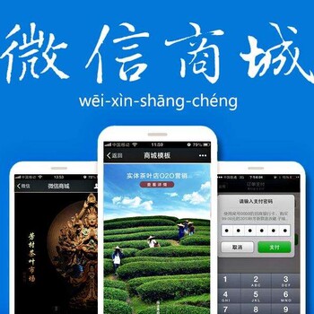 樽享项目平台系统开发APP