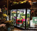 大理花店鲜花柜鲜花冷风柜花束保鲜柜