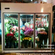 重慶鮮花專用保鮮柜觀賞植物展示柜圖片