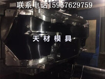 黄岩模具汽车保险杠模具汽车配件模具汽车塑料配件模具图片5