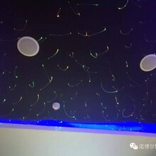 諾博爾-背景音樂(lè)系統(tǒng)圖片