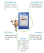 2017中博特B20肉羊预混料（20kg）