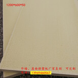 枣庄挤塑板高密度板B1级挤塑板屋面保温图片2