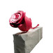 深圳展館工程定制玫瑰花鋁單板裝飾氟碳鋁單板廠家直銷