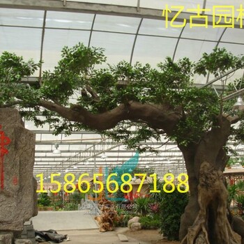 濮陽水泥假樹大門設計施工濮陽假樹大門制作