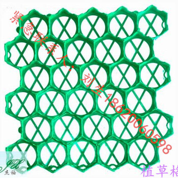 广州东莞深圳珠海植草格抗压能力200吨/平米4,5,7mm耐压耐磨平插式搭接HDPE排水优良出厂价直供