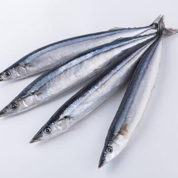 进口日本秋刀鱼清关注意事项有哪些？需要做哪些准备工作？