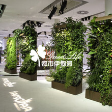 成都餐厅、酒店植物墙，室内室外植物墙找都市伊甸园