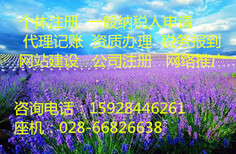 成都郫县代办营业执照机构排名图片4