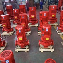 重庆立式单级消防泵价格多少?公司实力雄厚图片