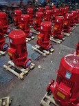 浦东消防喷淋泵价格图片0