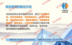新龙县代写农业全产业链项目实施方案公司图片1