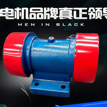 德誠(chéng)供應(yīng)yzs-20-6振動(dòng)電機(jī)全銅線鑄造機(jī)殼