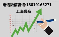 投资助手上海市危化品公司注册誉商免费咨询图片5