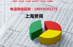 投资助手上海市危化品公司注册誉商免费咨询图片2